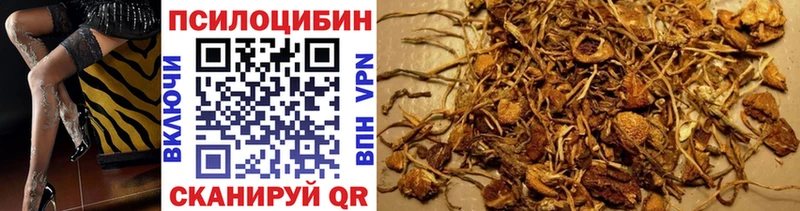 купить закладку  MEGA рабочий сайт  Псилоцибиновые грибы мухоморы  Шебекино 