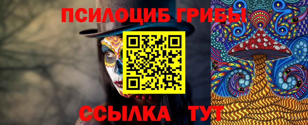 Галлюциногенные грибы Psilocybe Шебекино