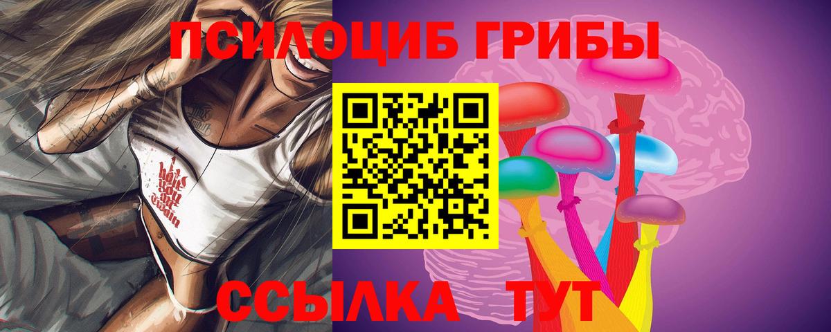 Галлюциногенные грибы прущие грибы Шебекино