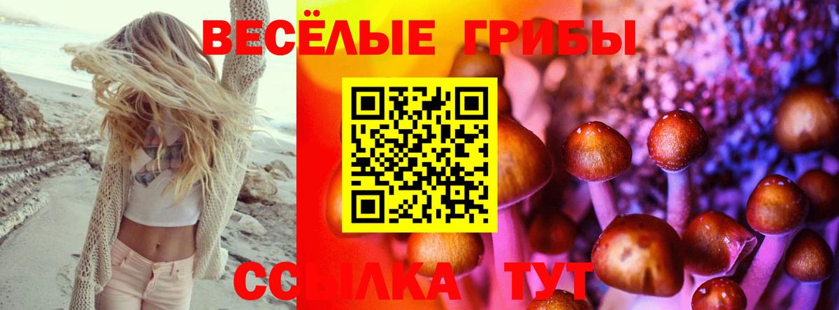 Шебекино  Галлюциногенные грибы мицелий  Вход с VPN  Галлюциногенные грибы мицелий 